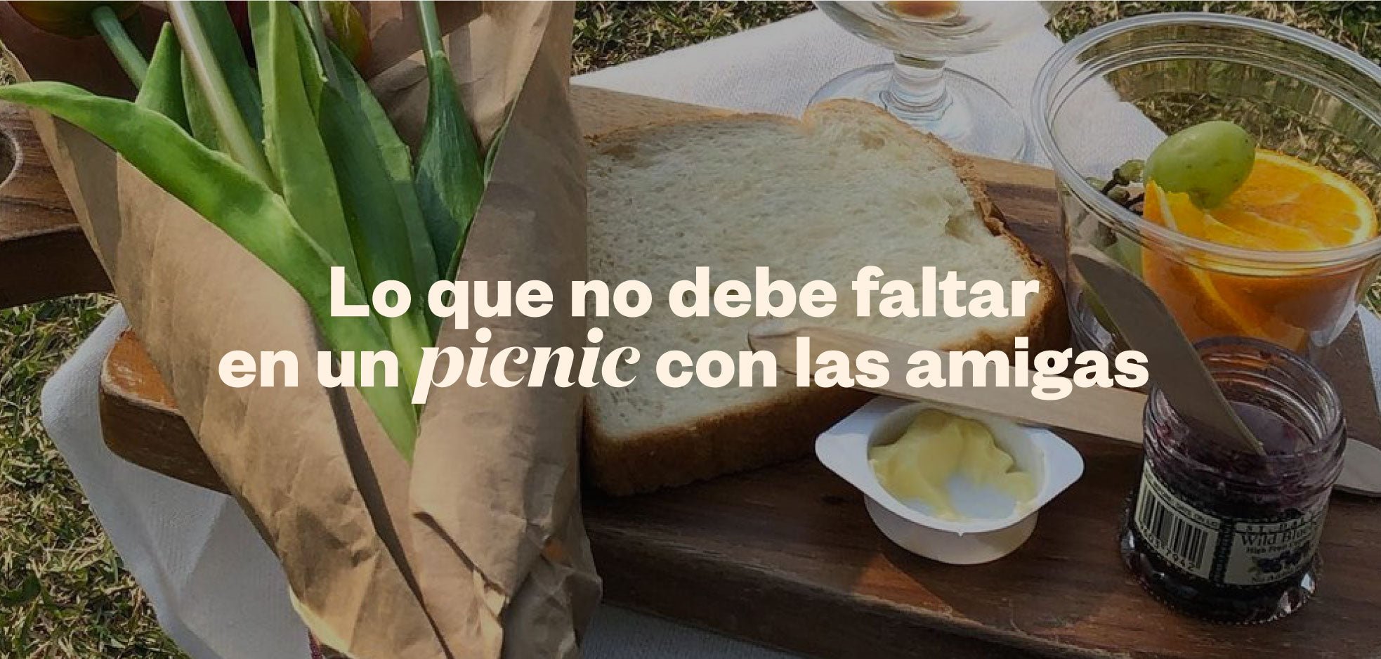 Lo que no debe faltar para un picnic amigas